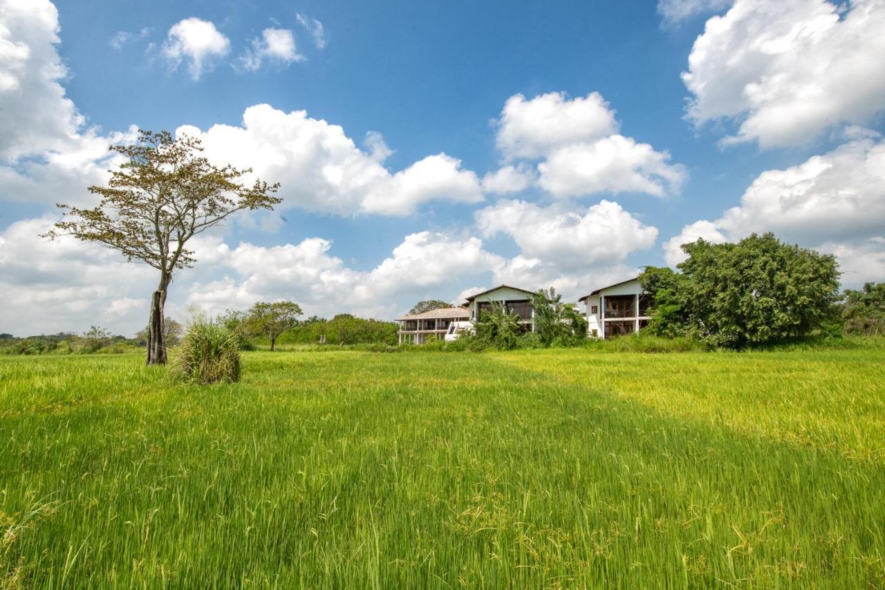Hotel Ceylon Breeze Sigiriya Esterno foto